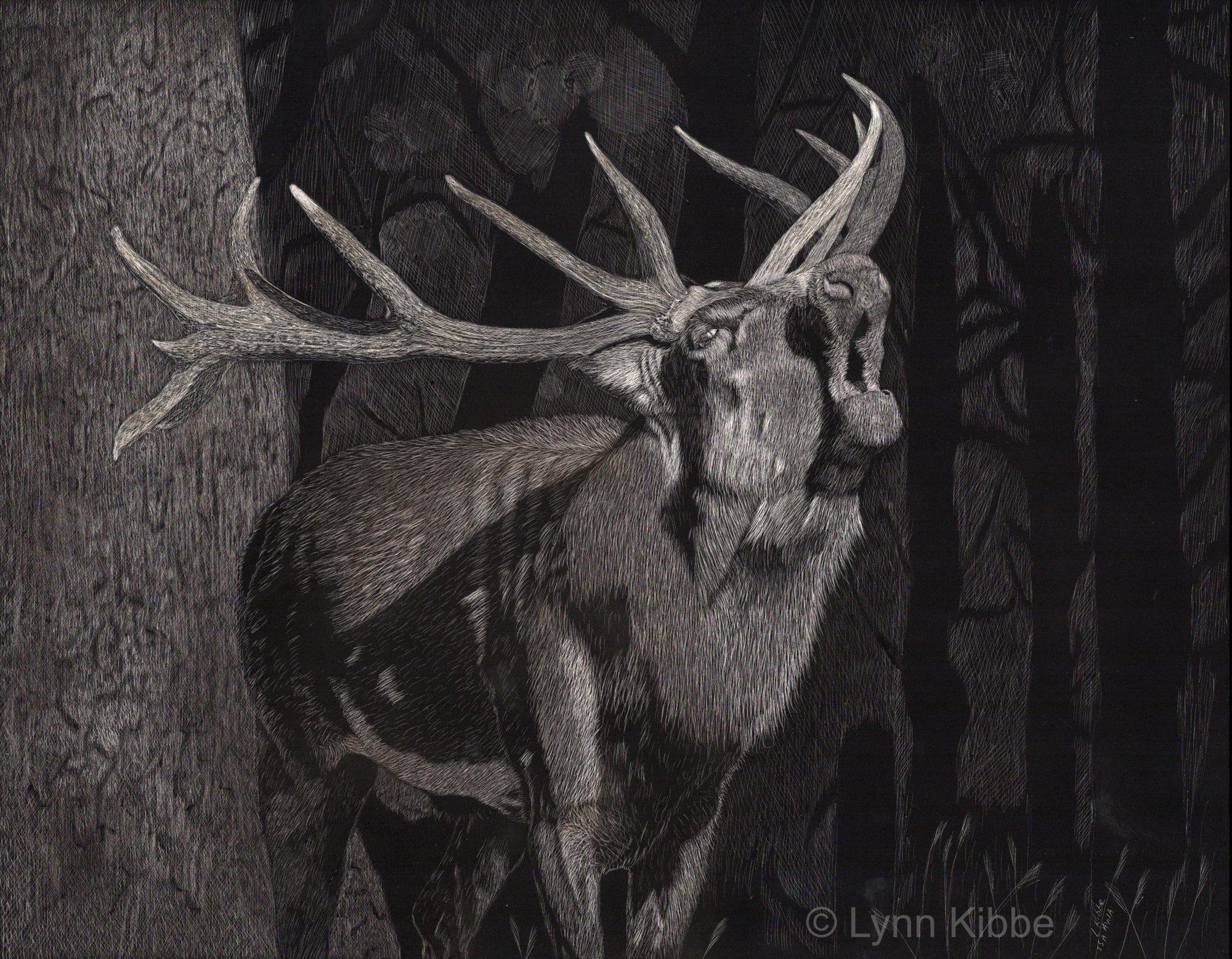 "Forest Song" (elk), 11x14", original scratchboard