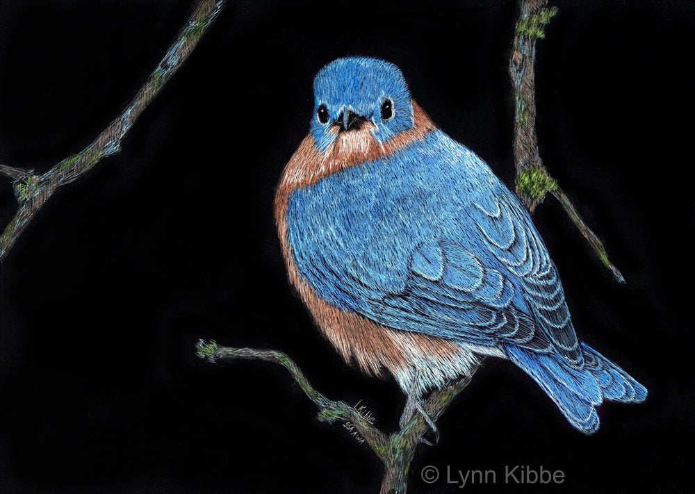 "Bluebird", 5x7" original scratchboard
