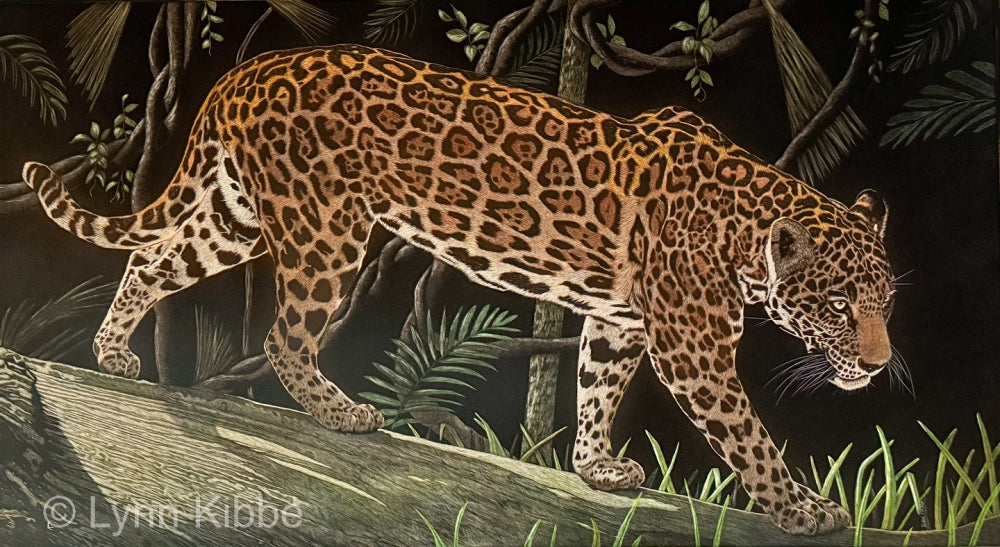 "Stride of Silence", 20x36" original scratchboard