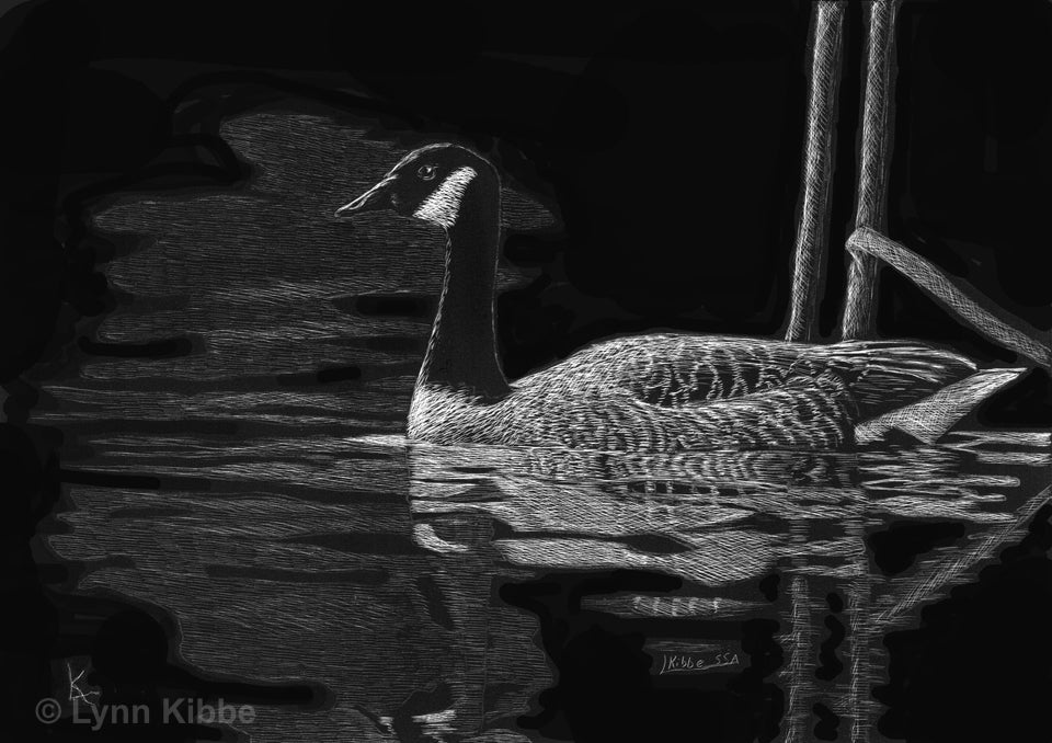 "Midnight Drifting" 5x7" original scratchboard