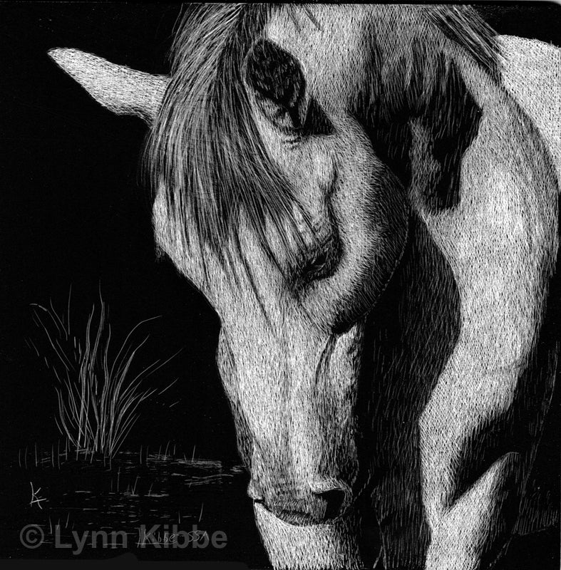 "Quiet of the Untamed" (horse), 4x4" (mini); original scratchboard
