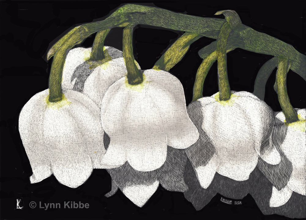 "Silent Bells" (Lily of the Valley), 5x7" original scratchboard