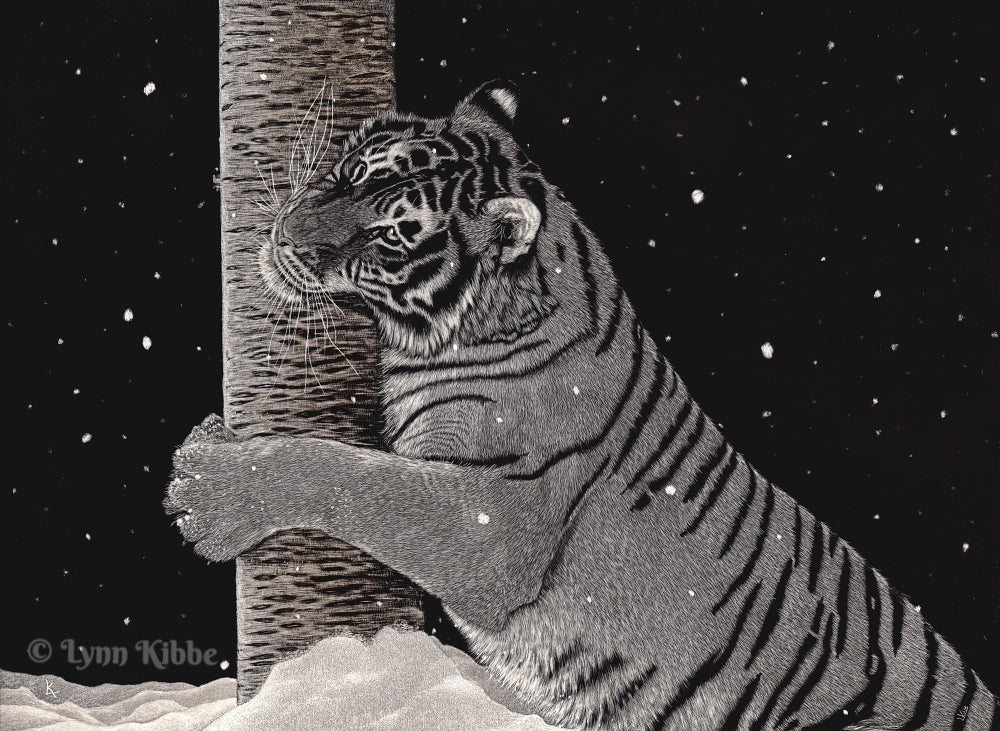 "Tree Hugger" (tiger), 12x16" original scratchboard