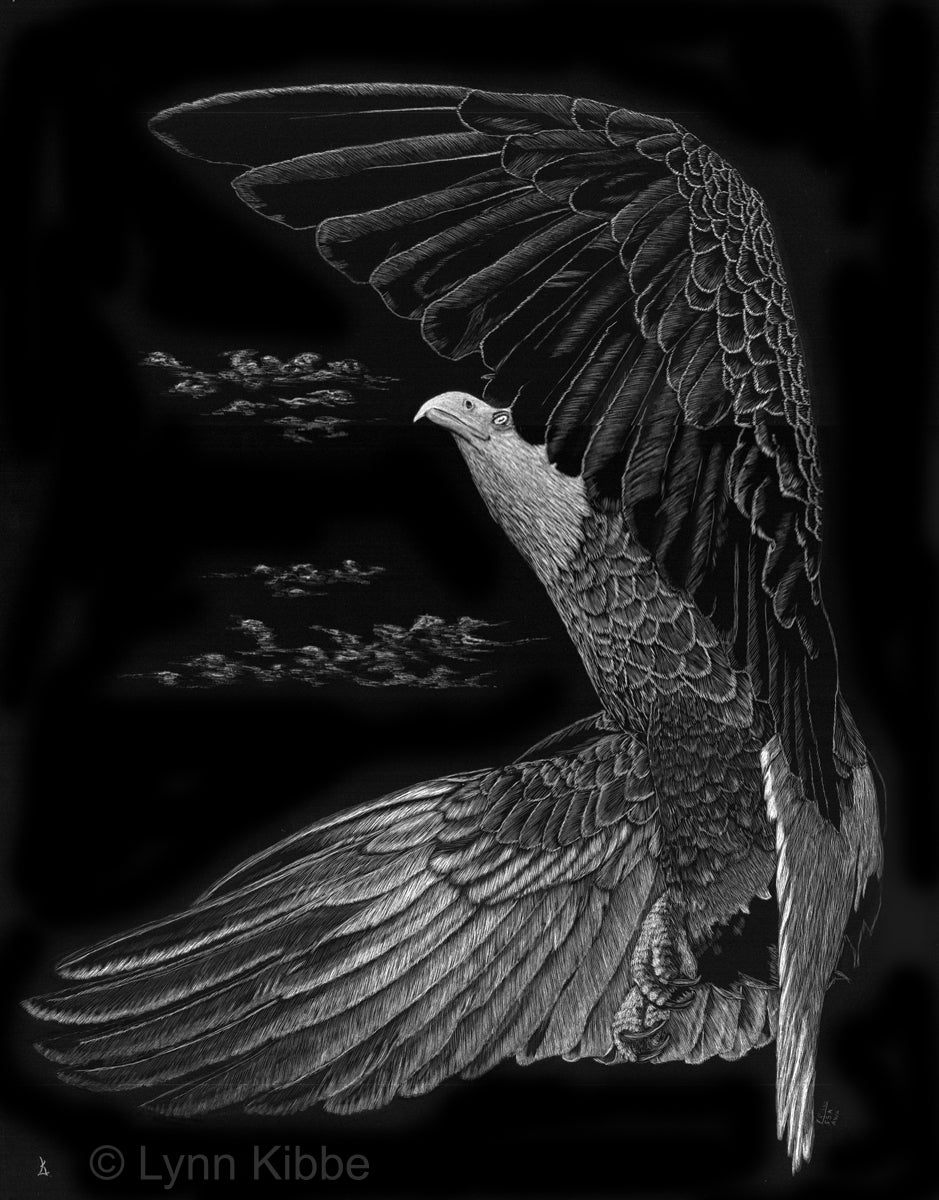 "Twist and Turn" (eagle), 18x14", original scratchboard