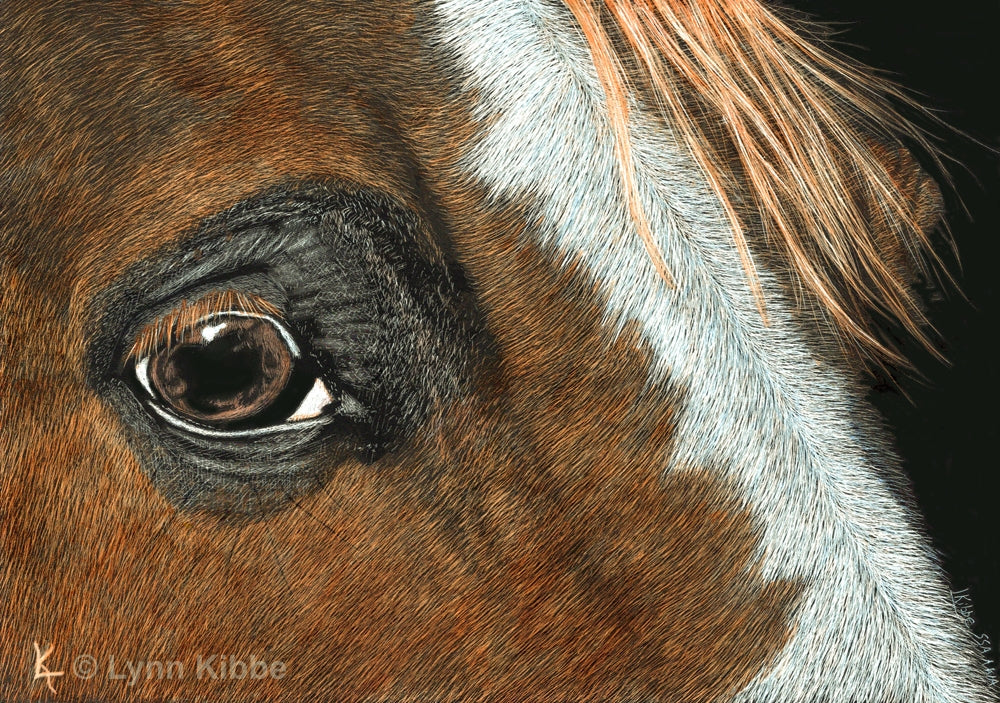 "Window Into Grace," 5x7" original scratchboard