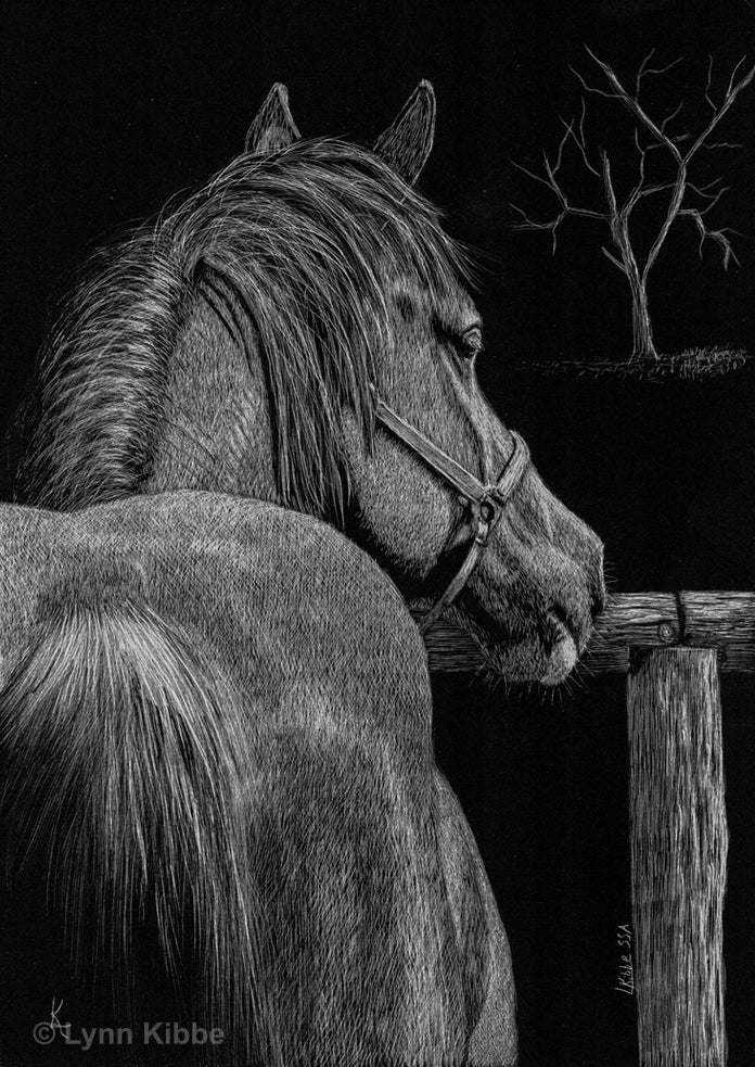 Anticipation" (horse), 7x5" original scratchboard